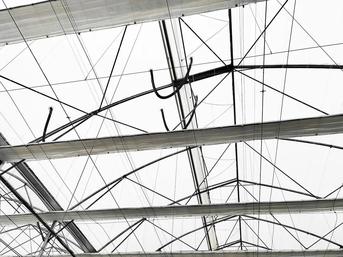 Commercial fully enclosed blueberry production multispan double-layer inflatable film greenhouse 6