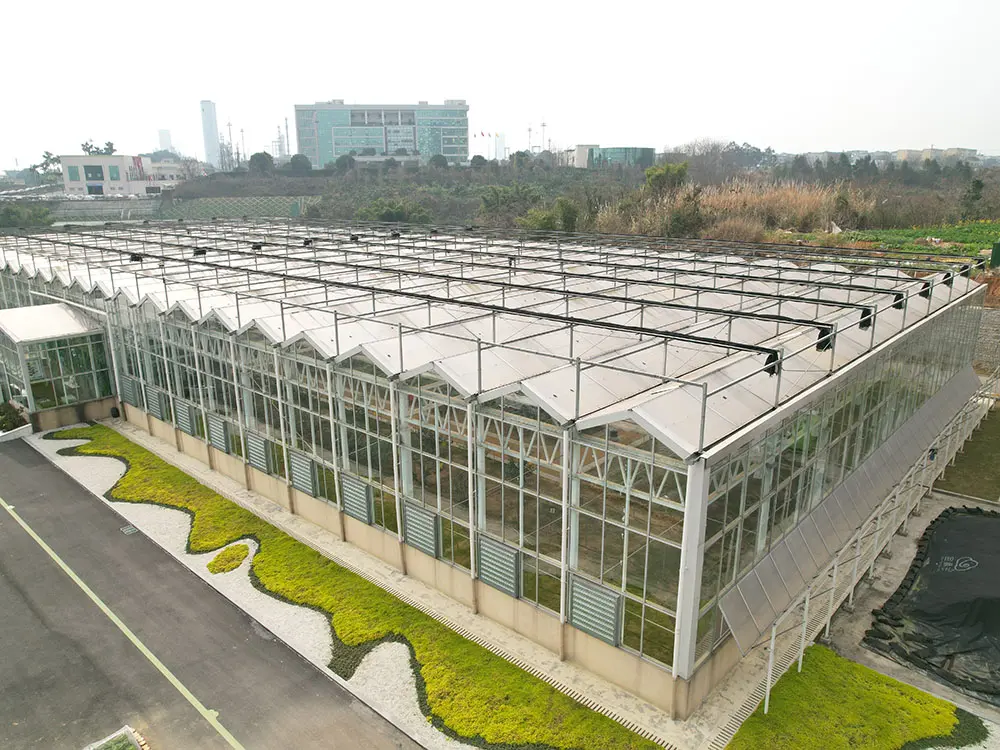 Modern Multi-Span Intelligent agricultural Glass Greenhouses 4