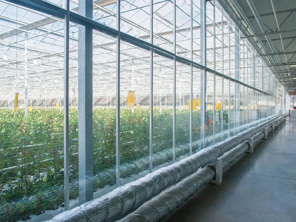 Turnkey Project Agricultural Multi Span Steel Structure Glass Greenhouse with Soilless Cultivation Flowers 2