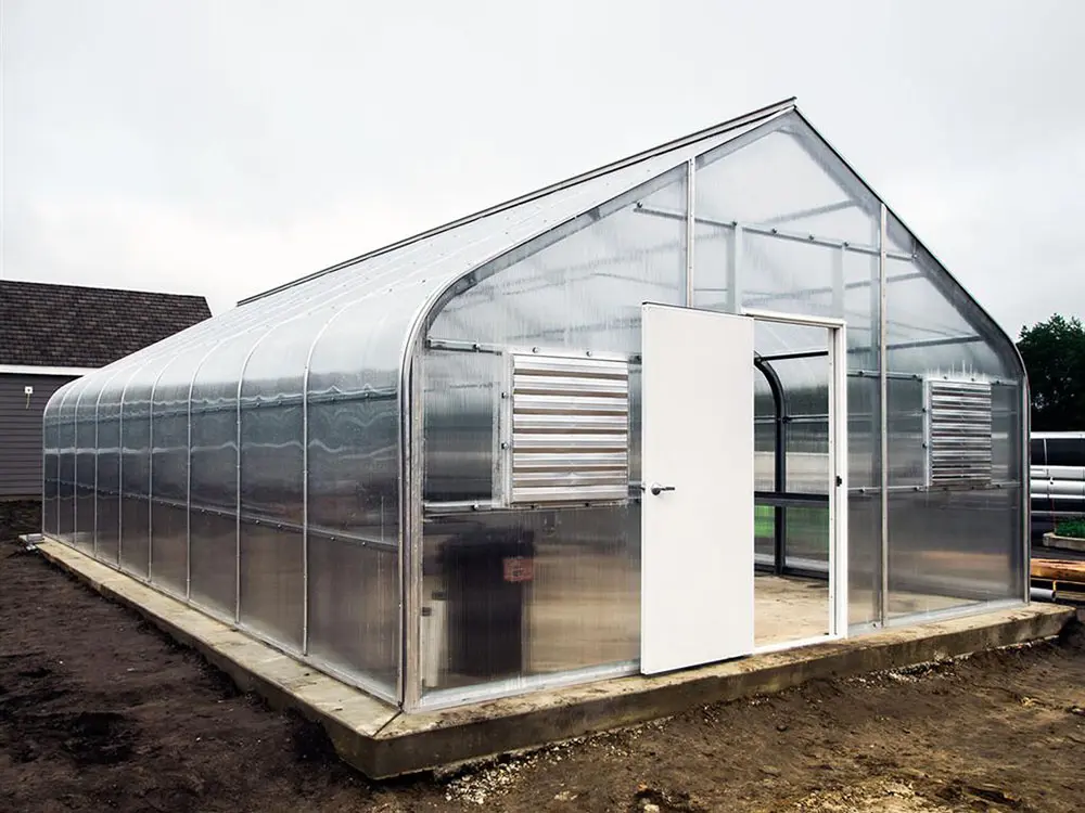 single-span tunnel greenhouse for agriculture in winter vegetable farming (1)