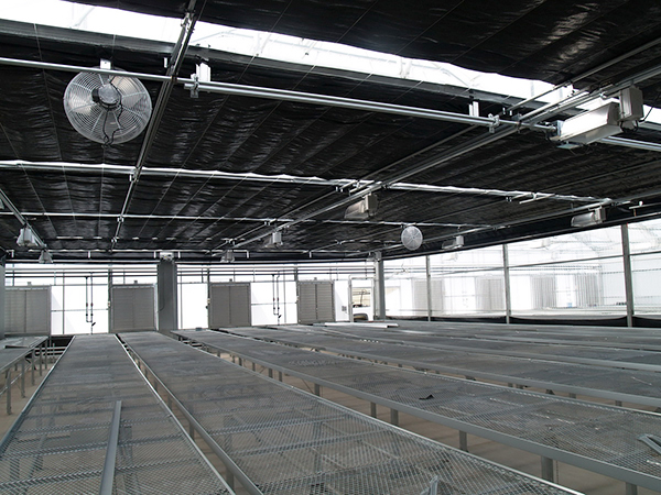 Light Deprivation Greenhouse Gutter Connected Multispan blackout systems for medical plants-78a