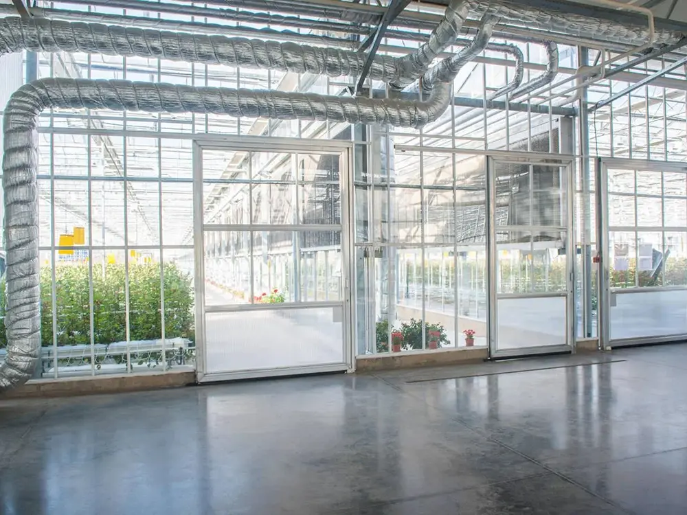 Turnkey Project Agricultural Multi Span Steel Structure Glass Greenhouse with Soilless Cultivation Flowers 3
