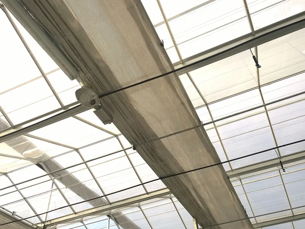 Strong Wind Resistance Low Cost Hot Sale Agricultural Commercial Plastic Greenhouse 2
