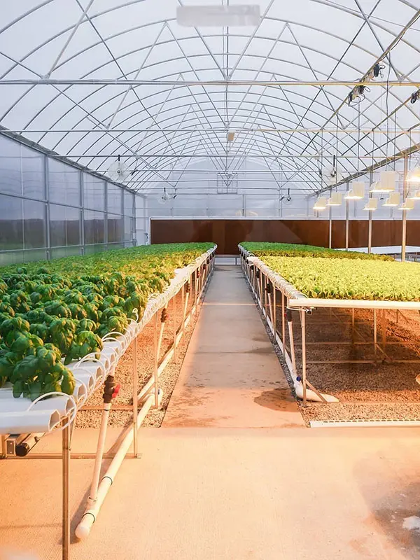 Irrigation System