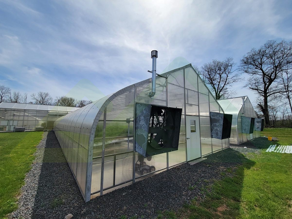 panda tunnel greenhouse (7)