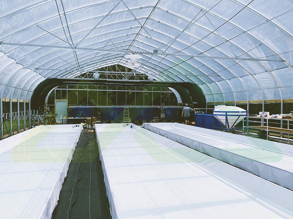 Aquaponics3 (2)