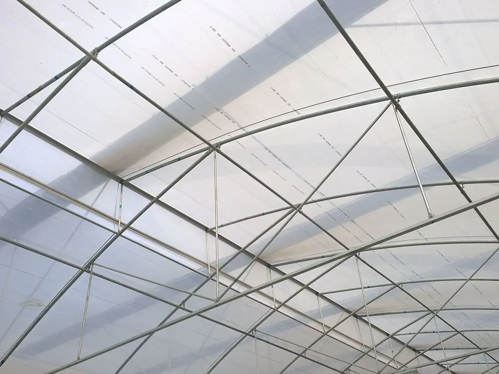 Strong Wind Resistance Low Cost Hot Sale Agricultural Commercial Plastic Greenhouse 6