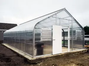 Single-Span Tunnel Greenhouse For Agriculture I...